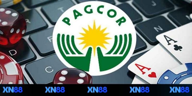 Thông tin cơ bản độc đáo về giấy phép hoạt động nhà cái