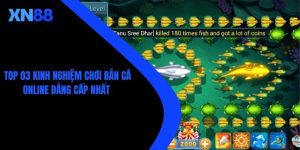 Top 03 Kinh Nghiệm Chơi Bắn Cá Online Đẳng Cấp Nhất 