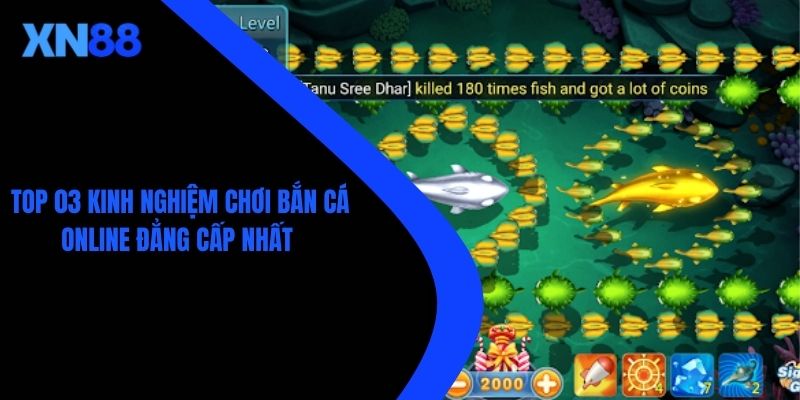 Top 03 Kinh Nghiệm Chơi Bắn Cá Online Đẳng Cấp Nhất